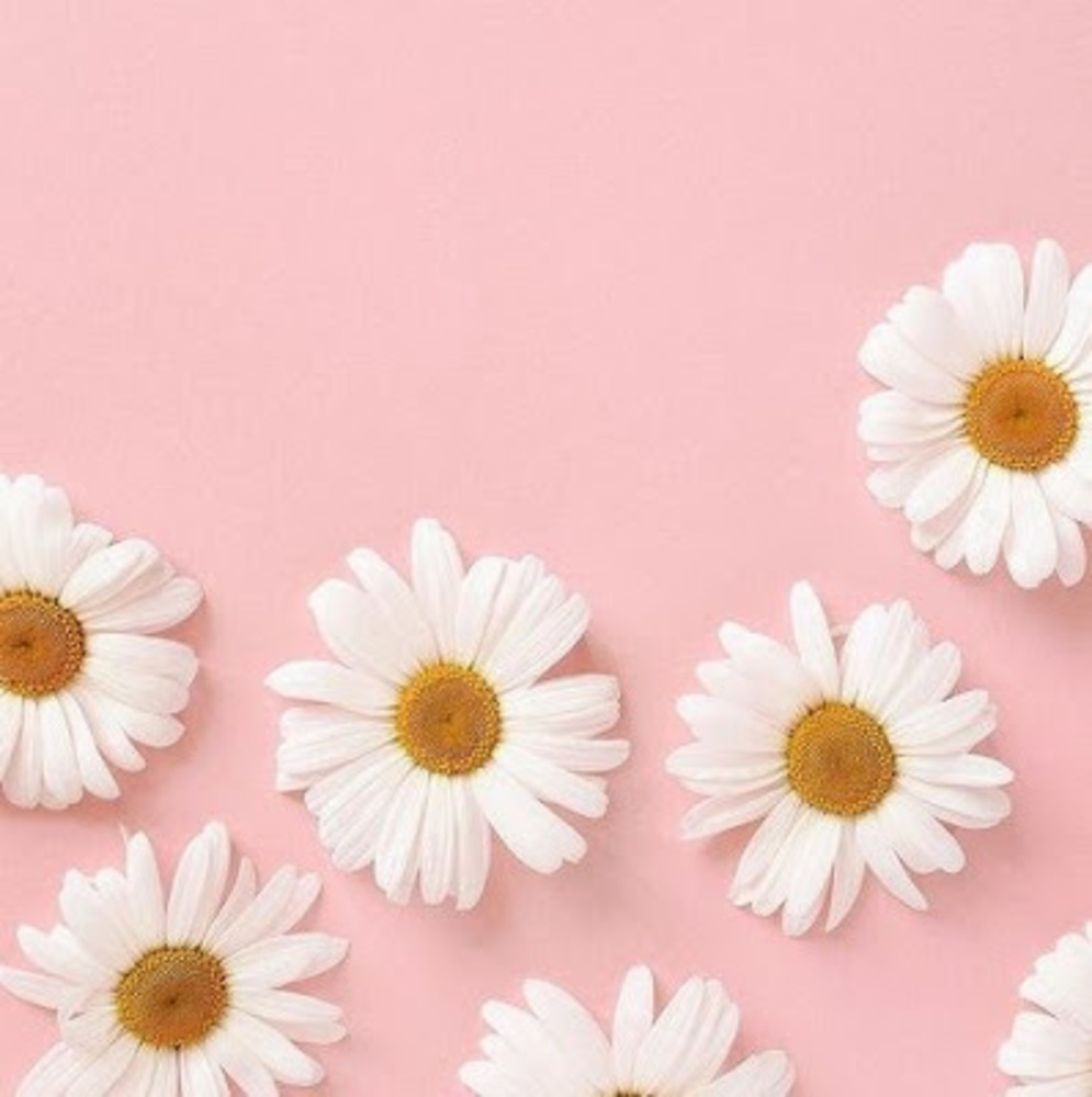 Meet your Posher, Elisha